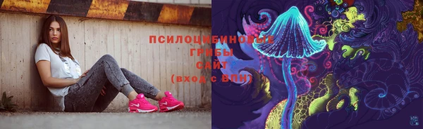 МДПВ Абаза