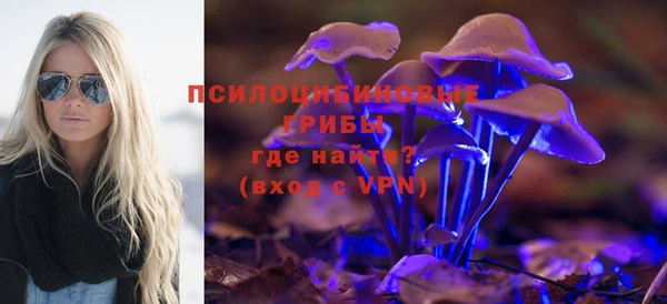 не бодяженный Абдулино
