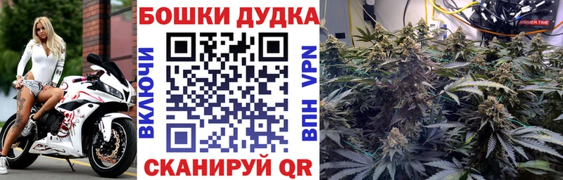 Канабис ГИДРОПОН  что такое наркотик  Алатырь 